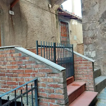 Bruni